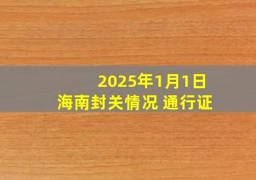 2025年1月1日海南封关情况 通行证